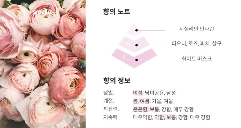디올 블루밍 부케 시향기 원문 이미지 3