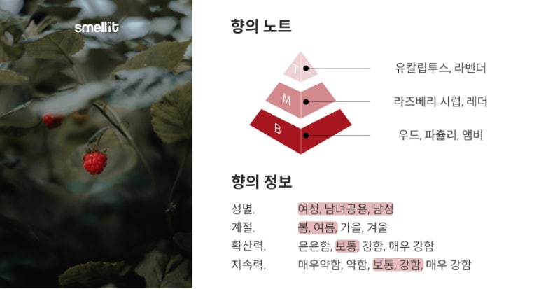탬버린즈 향수 후기 원문 사진 3