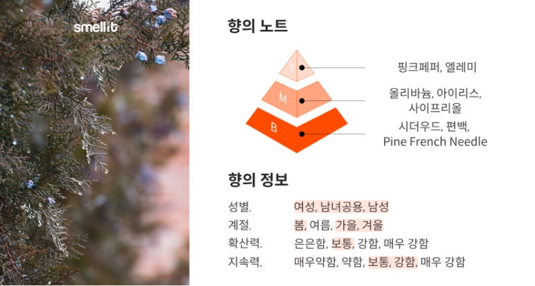 탬버린즈 향수 후기 원문 사진 4